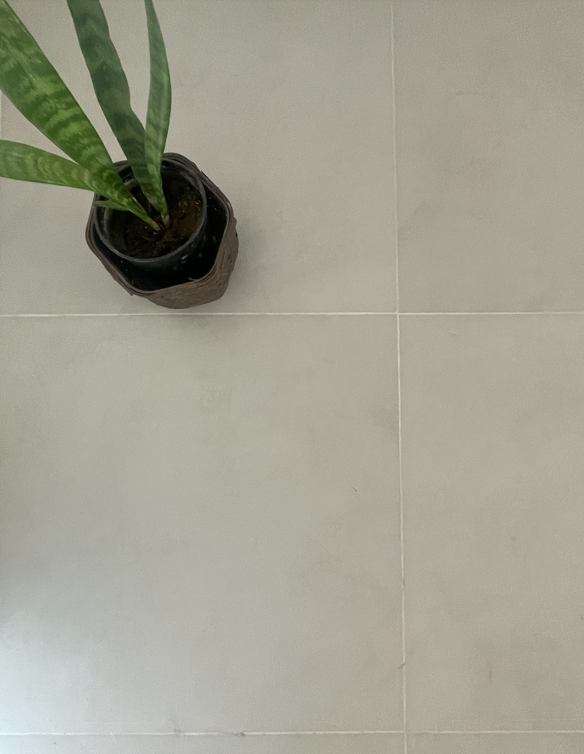 Porcelanato San Lorenzo Desing Modus Art Tiza 60X60