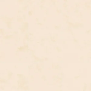 San Lorenzo Design Modus Art Hueso 60x60 Pulido
