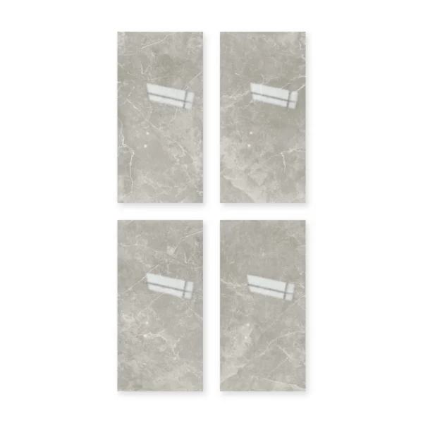 San Lorenzo Suria Silver 60x120 Pulido · Cuatro placas