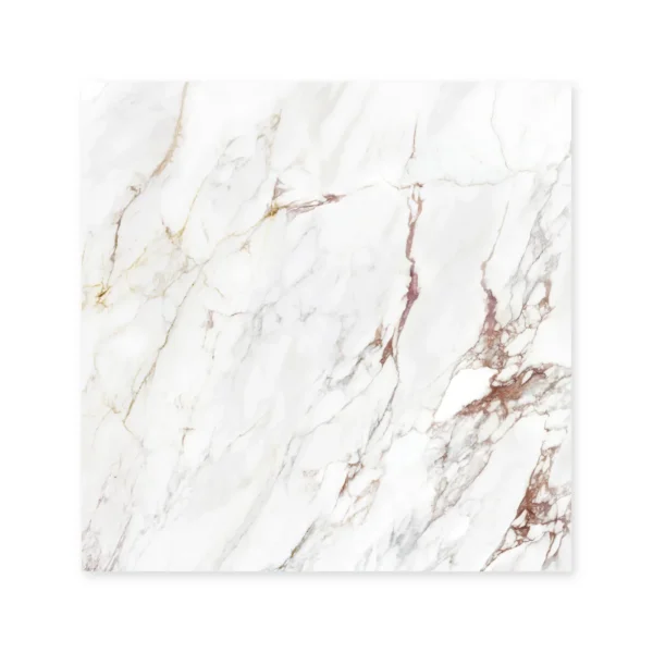 San Lorenzo Design Breccia Capraia Blanco 120x120 Satinado · Placa suelta