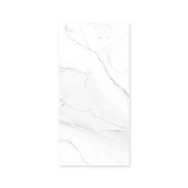 Tendenza Aspen 57,5 × 117 Mate · Placa suelta