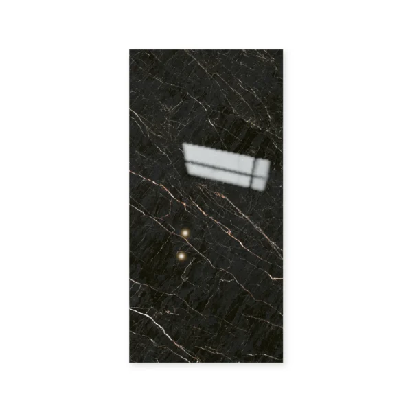 Tendenza Poison 57,5 × 117 Pulido · Placa suelta